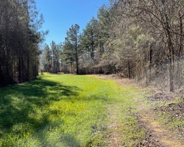 336 Acres Deer and Turkey Hunting Land Copiah County, MS - image 20
