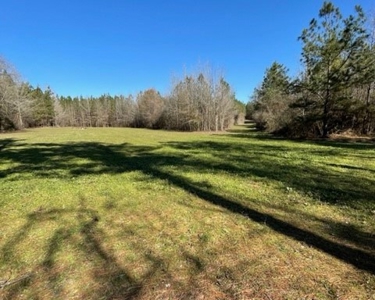 336 Acres Deer and Turkey Hunting Land Copiah County, MS - image 14