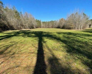 336 Acres Deer and Turkey Hunting Land Copiah County, MS - image 13
