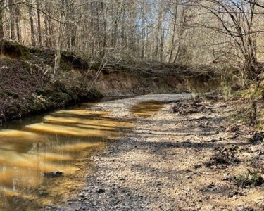 336 Acres Deer and Turkey Hunting Land Copiah County, MS - image 28