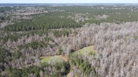 336 Acres Deer and Turkey Hunting Land Copiah County, MS - image 41
