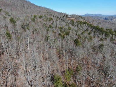 New Tazewell- Claiborne County TN-Lake Access Lot for Sale - image 15