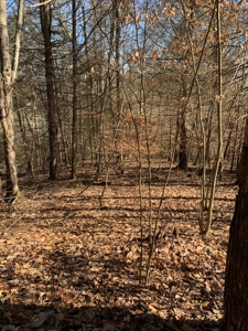 New Tazewell- Claiborne County TN-Lake Access Lot for Sale - image 2