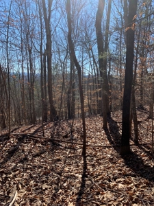 New Tazewell- Claiborne County TN-Lake Access Lot for Sale - image 7