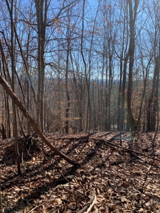 New Tazewell- Claiborne County TN-Lake Access Lot for Sale - image 8