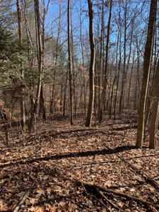 New Tazewell- Claiborne County TN-Lake Access Lot for Sale - image 6