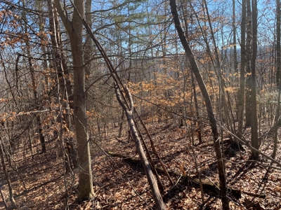New Tazewell- Claiborne County TN-Lake Access Lot for Sale - image 10