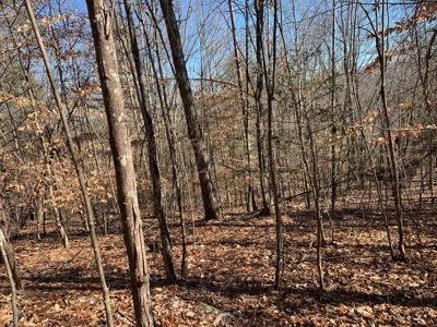 New Tazewell- Claiborne County TN-Lake Access Lot for Sale - image 9