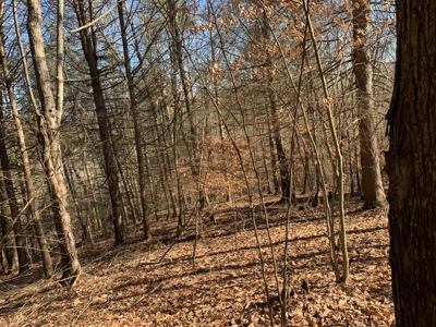 New Tazewell- Claiborne County TN-Lake Access Lot for Sale - image 12