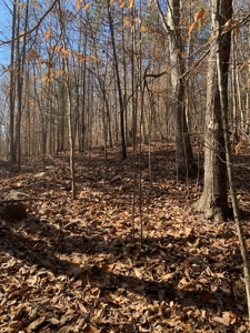 New Tazewell- Claiborne County TN-Lake Access Lot for Sale - image 4