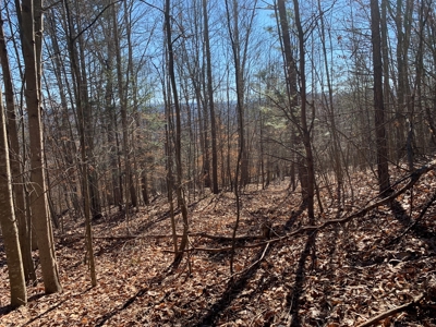 New Tazewell- Claiborne County TN-Lake Access Lot for Sale - image 1