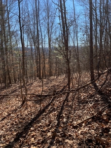 New Tazewell- Claiborne County TN-Lake Access Lot for Sale - image 5