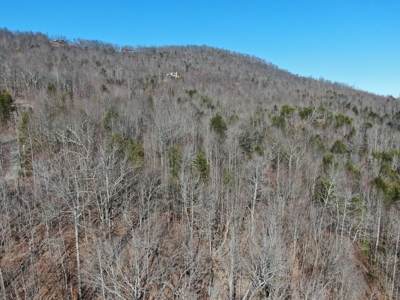 New Tazewell- Claiborne County TN-Lake Access Lot for Sale - image 17