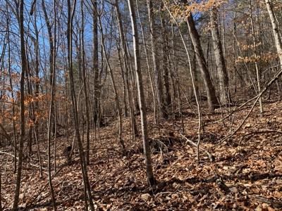 New Tazewell- Claiborne County TN-Lake Access Lot for Sale - image 11