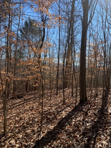 New Tazewell- Claiborne County TN-Lake Access Lot for Sale - image 3