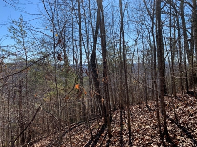 New Tazewell- Claiborne County TN-Lake Access Lot for Sale - image 9