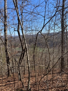 New Tazewell- Claiborne County TN-Lake Access Lot for Sale - image 11