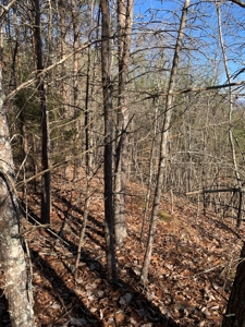 New Tazewell- Claiborne County TN-Lake Access Lot for Sale - image 3