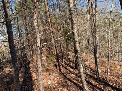New Tazewell- Claiborne County TN-Lake Access Lot for Sale - image 8