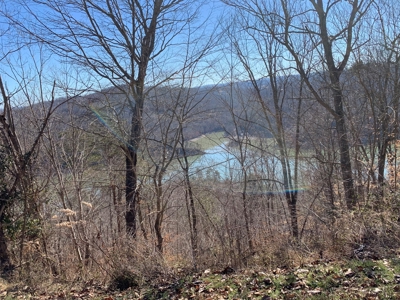 New Tazewell- Claiborne County TN-Lake Access Lot for Sale - image 1