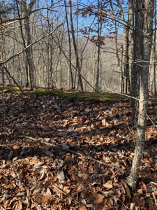 New Tazewell- Claiborne County TN-Lake Access Lot for Sale - image 4