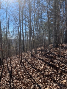 New Tazewell- Claiborne County TN-Lake Access Lot for Sale - image 12