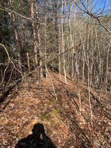 New Tazewell- Claiborne County TN-Lake Access Lot for Sale - image 10