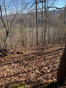 New Tazewell- Claiborne County TN-Lake Access Lot for Sale - image 2