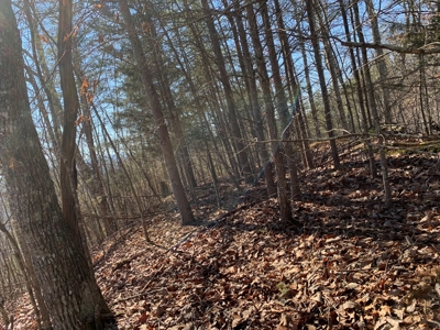 New Tazewell- Claiborne County TN-Lake Access Lot for Sale - image 5