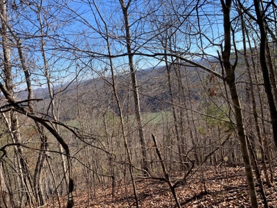 New Tazewell- Claiborne County TN-Lake Access Lot for Sale - image 7