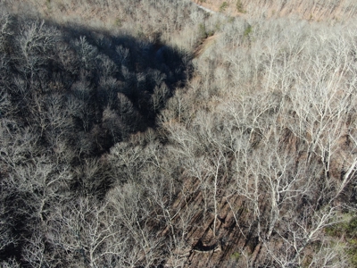 New Tazewell- Claiborne County TN-Lake Access Lot for Sale - image 19