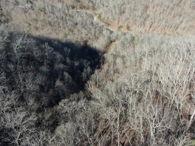 New Tazewell- Claiborne County TN-Lake Access Lot for Sale - image 20