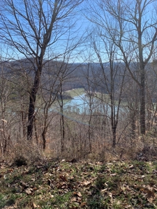 New Tazewell- Claiborne County TN-Lake Access Lot for Sale - image 13