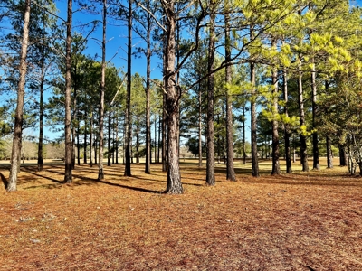 River Oaks Golf Course for Sale - South Alabama - Business - image 31