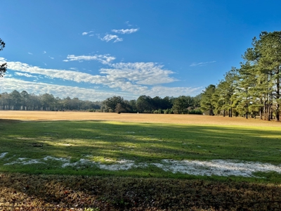 River Oaks Golf Course for Sale - South Alabama - Business - image 49