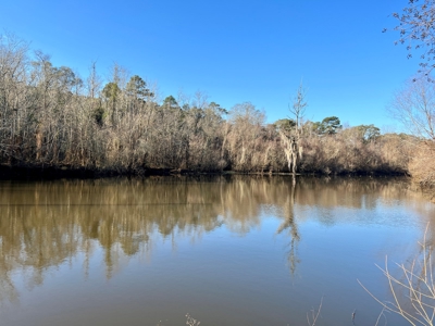 River Oaks Golf Course for Sale - South Alabama - Business - image 35