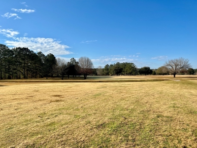 River Oaks Golf Course for Sale - South Alabama - Business - image 28