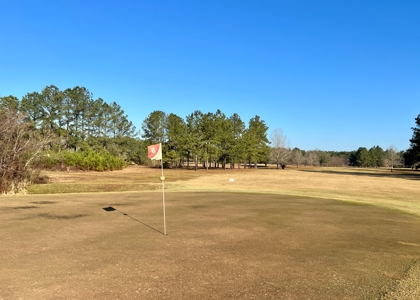 River Oaks Golf Course for Sale - South Alabama - Business - image 3