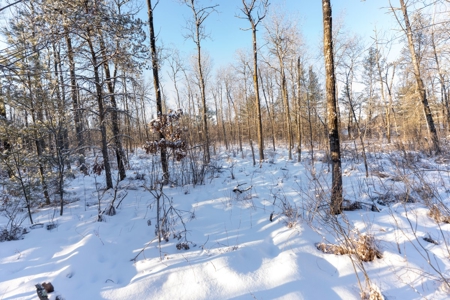 80 Acres of Juneau County Timber Land - image 14