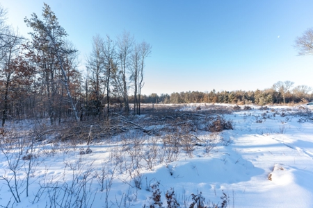 80 Acres of Juneau County Timber Land - image 16
