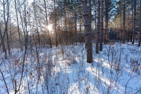 200-acre tract of land with a lot of diversity in Juneau Cty - image 3