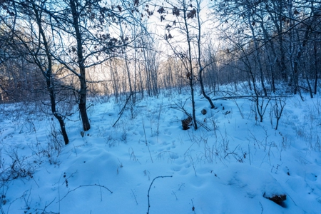 200-acre tract of land with a lot of diversity in Juneau Cty - image 12