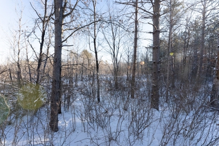 200-acre tract of land with a lot of diversity in Juneau Cty - image 24