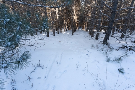 200-acre tract of land with a lot of diversity in Juneau Cty - image 28