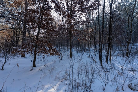 200-acre tract of land with a lot of diversity in Juneau Cty - image 4