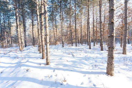200-acre tract of land with a lot of diversity in Juneau Cty - image 1