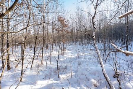 200-acre tract of land with a lot of diversity in Juneau Cty - image 15