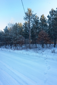 200-acre tract of land with a lot of diversity in Juneau Cty - image 8