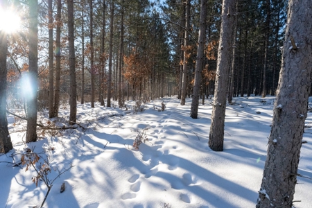 200-acre tract of land with a lot of diversity in Juneau Cty - image 20