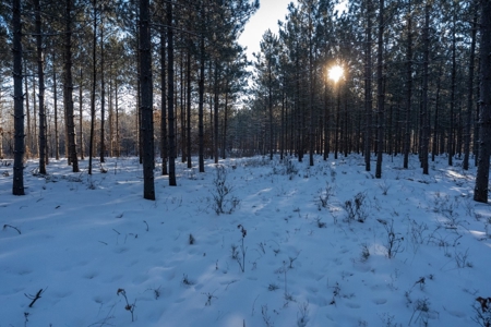 200-acre tract of land with a lot of diversity in Juneau Cty - image 13